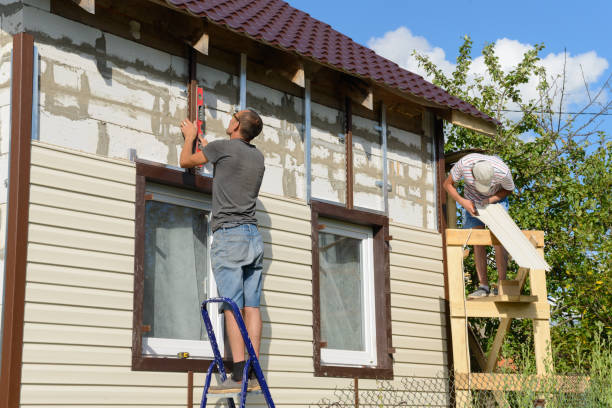 Best Insulated Siding Installation  in Forrest, IL