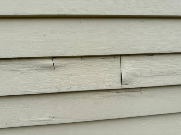 Best Custom Trim and Detailing for Siding  in Forrest, IL